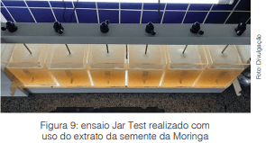 Avaliação de extrato natural a base de Moringa Oleífera como potencial coagulante  
